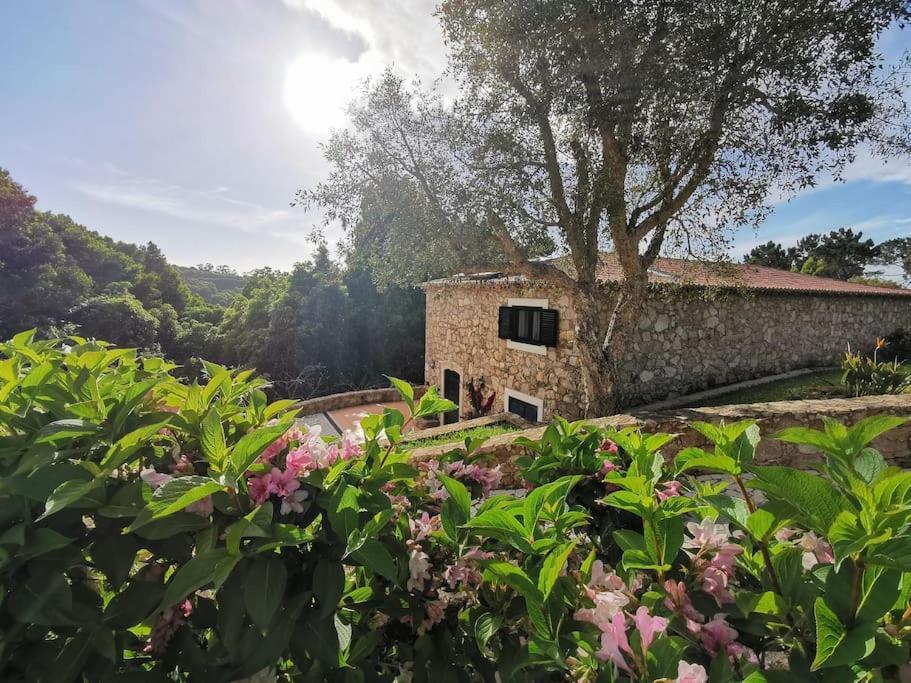 Villa Vitorino Deluxe